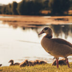 152064460 1605758582941271 9194243029052032420 n