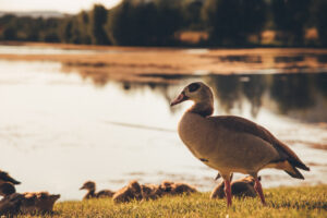 152064460 1605758582941271 9194243029052032420 n