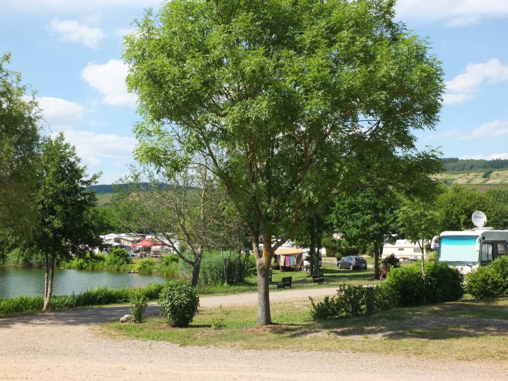 505197625 2832412053609245 4538944406096458526 n