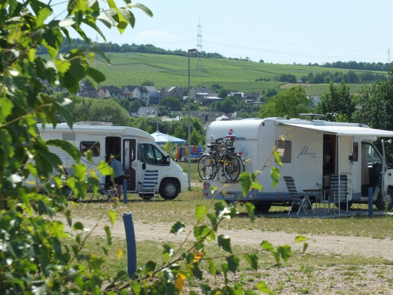 505683755 2832411963609254 2024189378963761055 n