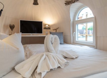 dsc00436 425x310 (1)